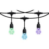 Nanoleaf Essentials Matter Smart Outdoor String Light Starter 15m - Schwarz